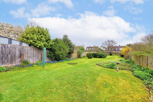 Garden- click for photo gallery